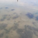 제주김녕한달 이미지