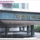 면목동-139 네이버블로그