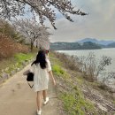 어반서티 | 춘천 뚜벅이도 가능한 여행 코스 1박 2일 일정 추천