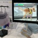 CU(범양점) | 가성비좋은 길음동네일샵 제니네일
