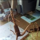 학선농장 이미지