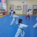 용인대 월드태권도 이미지