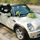 경북카서비스 이미지