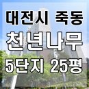 죽동천년나무아파트경로당 | 대전유성구경매 죽동 천년나무5단지 25평