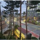 광교힐스테이트공인중개사사무소 이미지