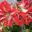 버스정류장 06-251 이미지