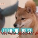 서산스팀세차
