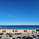 퍼플 315 이미지