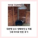 슬기목장 | 대관령 순수 양떼목장 카페 5세 아이와 방문 후기