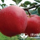 (주)서림개발 이미지