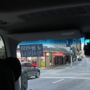 시드니 | 2일차 : 포트스테판 투어의 날(사막, 모래썰매, 오크베일 동물원, 와이너리)