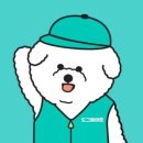 [고양이 집사 필독] 고양이 두고 집 비울 때, 이렇게 돌봄 해결해요!
