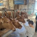 성거농업협동조합 | 동물을 좋아하는 이로운 할아버지 집 가서 소도 보고 안성 팜랜드 가서 여러 동물들 밥주기