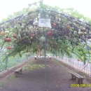 곤지암도자기공원 이미지