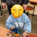 오세창농장 이미지