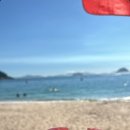 비진매점