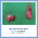 도촌동물병원 이미지