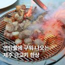 돈지 | 제주도 근고기 맛집 돈지식당, 동문시장 근처 연탄구이 후기