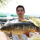 봉재 낚시터 이미지