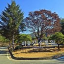 미동산수목원 이미지