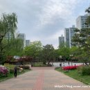 동성아파트경로당 이미지