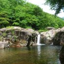 신흥교입구 이미지