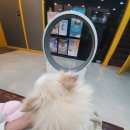 펫홈종합동물병원 이미지