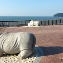 도음소도(돔배)
