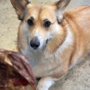 오간식영등포점 이미지