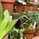 우성농원 이미지