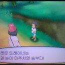 썬트레이너 이미지