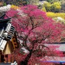 산성계곡 생태공원 내 이미지