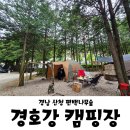 단성식자재마트 | 경남 산청 경호항 캠핑장 편백나무숲 A3 후기 2탄