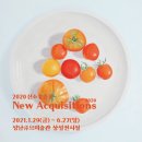 성남큐브미술관 이미지