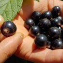 다물농장 이미지