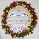 돌고래레스토랑 | 후쿠오카 아이랑 함께 여행 _ 마린월드 우미노나카미치 돌고래쇼 후기