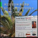주식회사 봄길 | 최고의 항산화 해죽순과 토디팜 재거리 한달반 복용후기