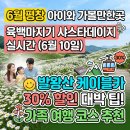 이평9 마을진입로 | 6월 평창 아이와 함께 가볼만한곳, 육백마지기 샤스타데이지 꽃 실시간 상황, 케이블카 30% 할인받는 꿀팁