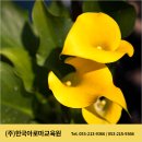 사수중학교 이미지
