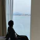 태안히 | 태안 풀빌라 독채 숙소 추천 태안히 솔직후기