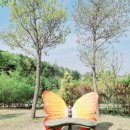 황학산수목원 이미지