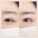 라베느래쉬 | 강남속눈썹 라베느래쉬 방문후기입니다