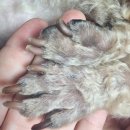 더키움 동물병원 이미지