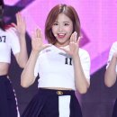 채원 이미지