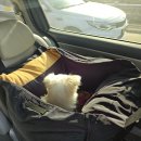 GPS 애견학교 이미지