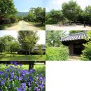 조양천 | 캠핑130. 삼척 덕풍계곡 &amp; 성수기의 위엄 !!