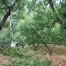 학산영동로1 이미지