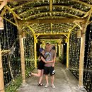 화련농장 | [인도네시아] 발리에서 생긴 일 (4)