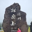 제주도 관광버스 대여 기사포함 편안했던 제주 여행 후기