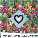 정명철 이미지